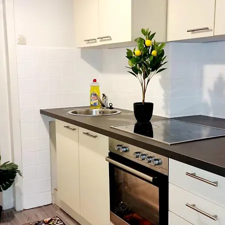 3 In - Free Parking - Self Check In Apartment Linz