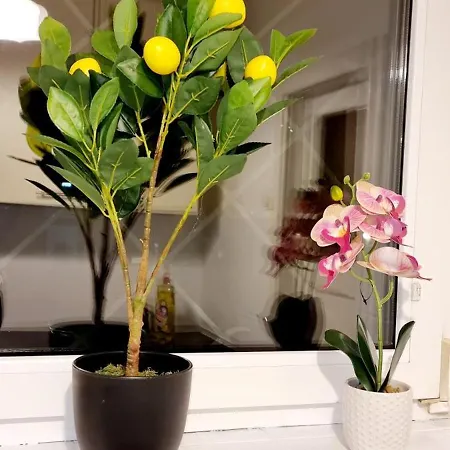 Apartment 3 In - Free Parking - Self Check In *